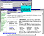 Call up StyleWriter's writing help screens